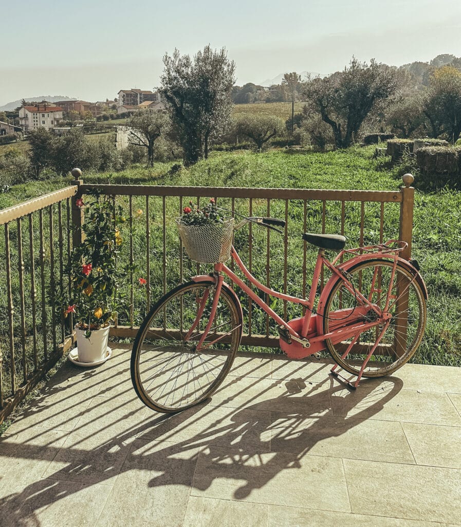 bicycle on italian vineyard at Petrillo in Irpinia, Italy