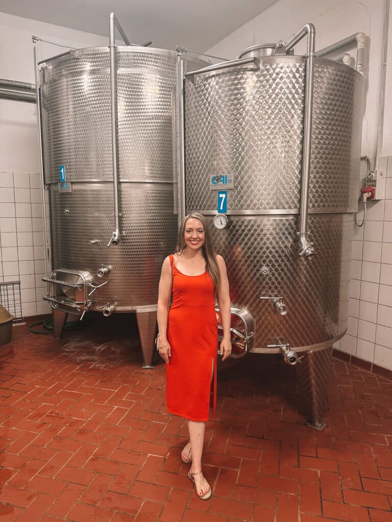 Jillian travel and wellness influencer, wine tasting in Italy at the vineyard with stainless steel wine barrels at Petrillo in Irpinia, Italy