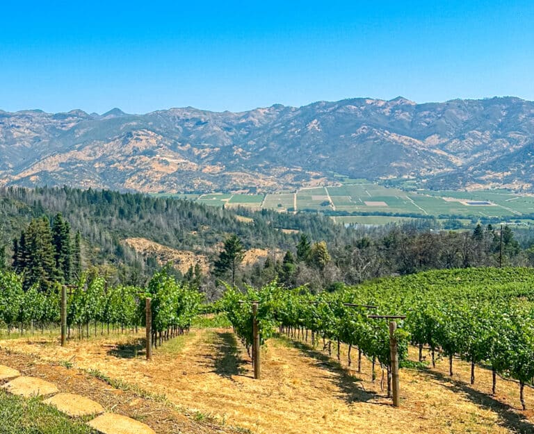 A lush vineyard stretches across the foreground, with neatly lined grapevines leading towards a backdrop of rolling hills and distant mountains under a clear blue sky. This picturesque landscape is Spring Mountain in Napa Valley, showcasing a mix of cultivated fields and natural forested areas, highlighting the scenic beauty of this rural countryside.
